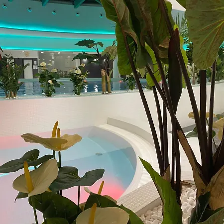 Hanza Tower High Floor Swimming Pool & Apartment